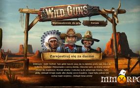 Wild Guns! cover image