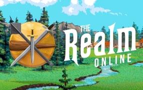 Realm Online cover image