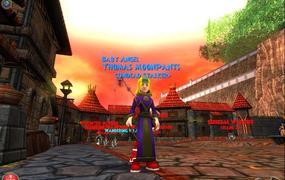 Wizard 101 cover image