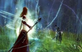 Guild Wars 2 game details