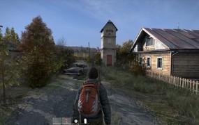 DayZ game details