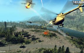 Heliborne game details