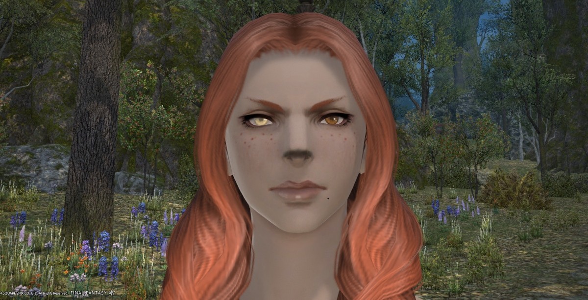 "Wy pierdo*** skurw****". Po wielkiej aferze FFXIV wypuściło poprawionego benchmarka