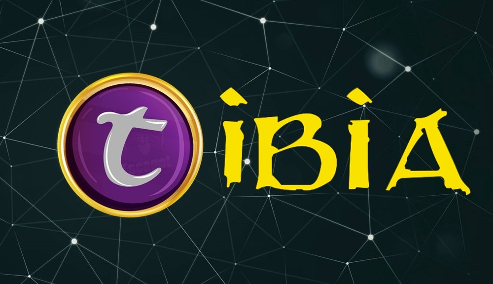 Tibia Token przybędzie w styczniu