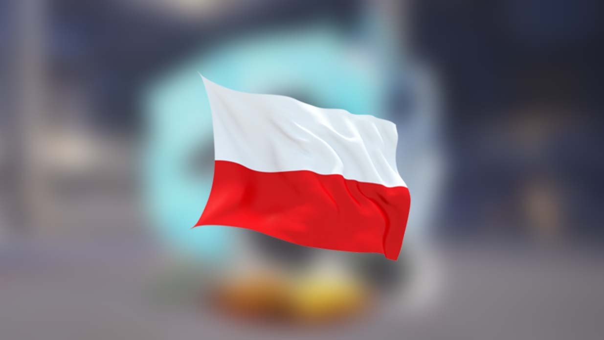 Polski przedmiot kosmetyczny trafił do Overwatch 2 - może rozczarować!