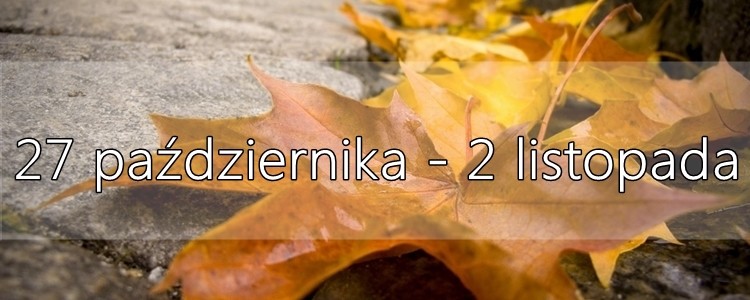 Przegląd i Podsumowanie Tygodnia: 27 października - 2 listopada