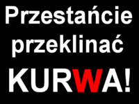 Kurwa, czyli o "bogactwie" językowym graczy MMO - Artykuł