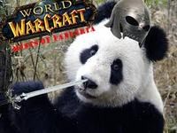 Blizzard zaklepuje znak "Mist of Pandaria". To kolejny dodatek do WoW?