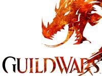 Dla zabicia czasu - Inżynier w Guild Wars 2 i ankieta środowiskowa