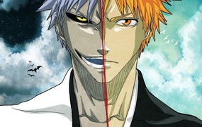 Bleach Online miał paść po kilku tygodniach, a tymczasem ma już łącznie… 78 nowo otwartych serwerów (50 dla USA, 28 dla EU)