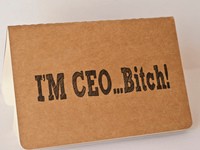 Ale wiecie, że wydawcą Brick Force jest były CEO u Frogstera?!