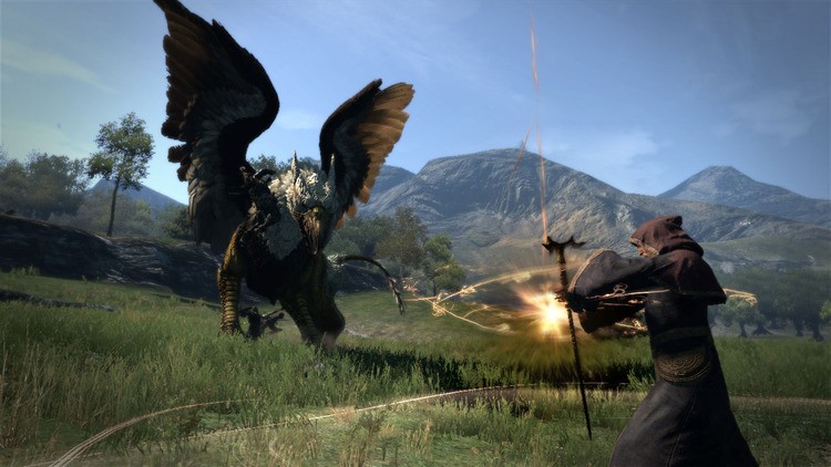 Czyżby MMORPG na podstawie Dragon Dogma? Capcom zarejestrował znak towarowy "Dragon Dogma Online"