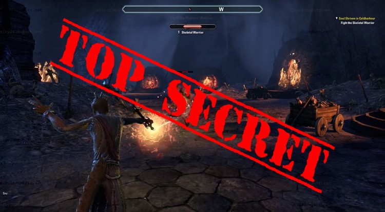 UPDATE: nowe gameplay'e z ESO