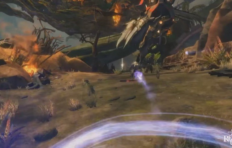 Tak właśnie wygląda First Person Camera w Guild Wars 2