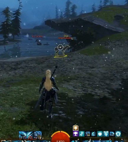 Guild Wars 2 dostanie Action Camera Mode z "celownikiem" na środku ekranu 