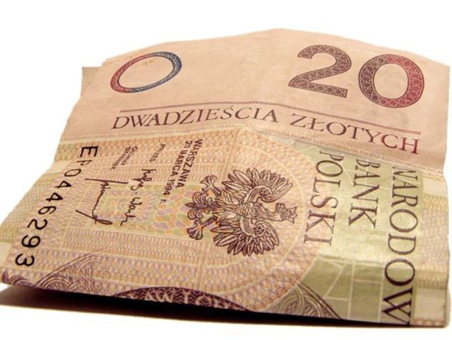 Wstęp do Wild Terra Online kosztuje teraz... 20 złotych