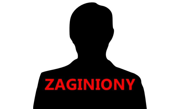 Zaginiony w akcji: Ghost at Midnight Online