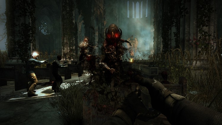 Wawrus i Xaorzyn dzisiaj streamują NETHER'a od 18:00
