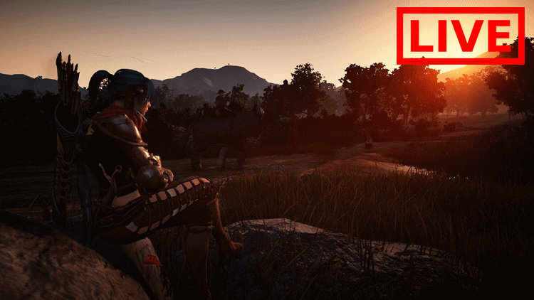 Szukanie konia, eksploracja świata, dobijanie 50 lvl'a. Wieczorny STREAM z Black Desert