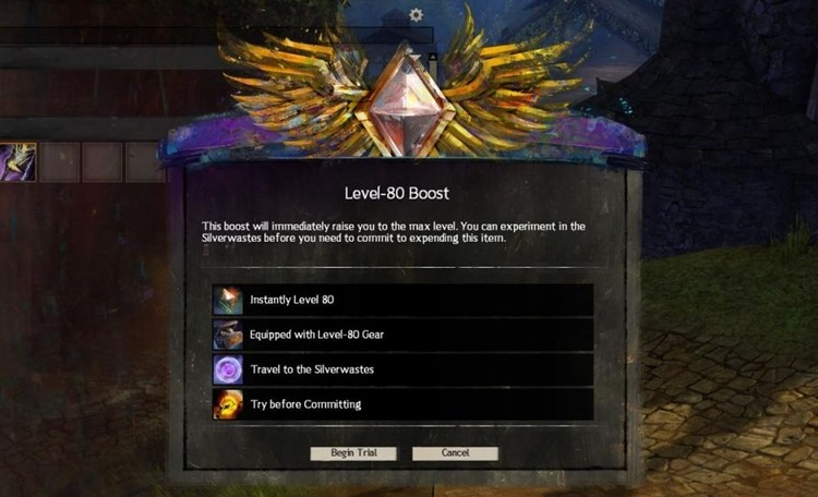 Guild Wars 2 nie będzie sprzedawać paczek z gotowym 80 lvl'em