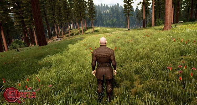 Ćwierć miliona dolarów w 12 godzin. Chronicles of Elyria podbija Kickstarter'a!