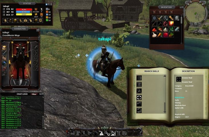 Kiedy jedna osoba bierze się za robienie MMORPG'a