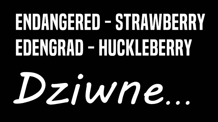 Amerykanie kopiują od Polaków? My mamy Edengrad, a oni Endangered. Nasza firma to Huckleberry Games, a ich Strawberry Games