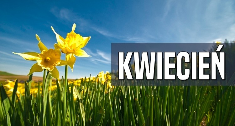 Najciekawsze premiery MMO i MMORPG w kwietniu 