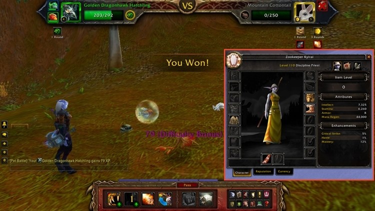 Osiągnął 110 lvl w WoW-ie przy pomocy swoich petów. Tylko petów... 
