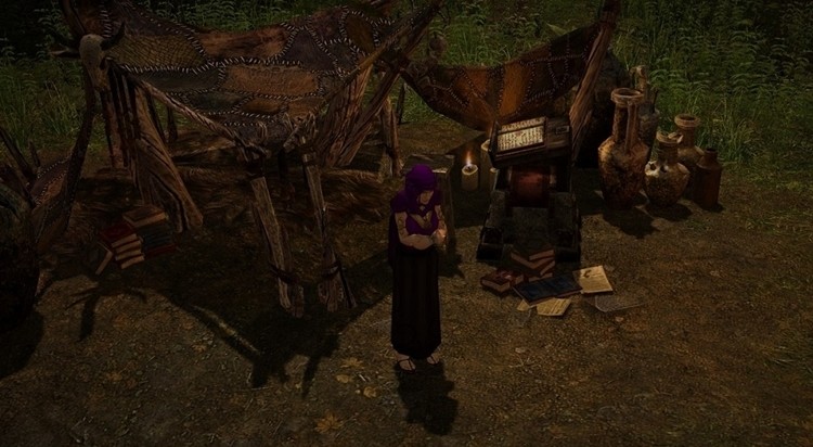Chce przenieść Diablo 2 do Grim Dawn i zrobić z tego "multiplayerową" grę