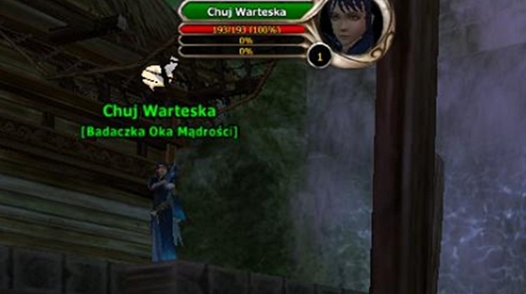 „Chuj Warteska” nowym NPC w Runes of Magic. Właśnie widać, jak GameForge testuje patche...
