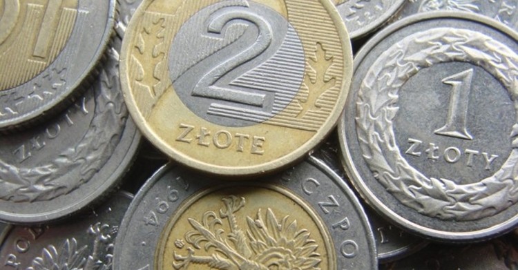 Wild Terra Online kosztuje teraz... 15 zł