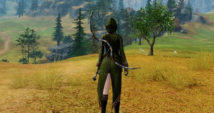Wiemy, kiedy wystartuje ArcheAge 5.0