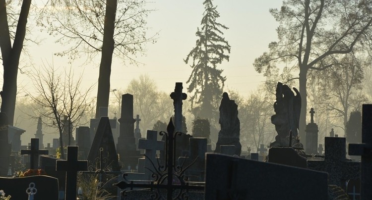 Bajkowa kraina przenosi się na cmentarz. To koniec Fairyland Online 