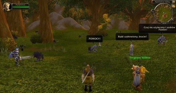 World of Warcraft nie będzie po polsku. "Ne ma planów polonizacji gry"