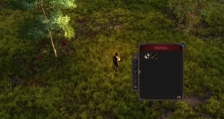 Nie będzie więcej wipe w Wild Terra 2. Sandboxowy izometryczny MMORPG