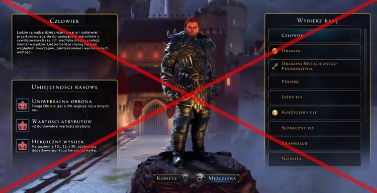 To już oficjalny koniec Neverwinter PL