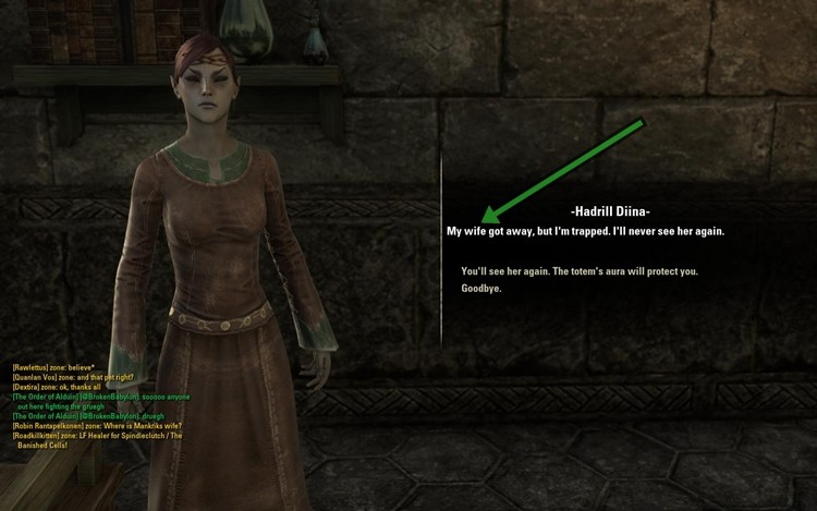 "Konserwatywni" gracze oburzeni, bo Elder Scrolls Online zawiera kilka lesbijskich questów