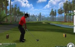 Tiger Woods PGA TOUR Online game details