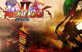Pockie Ninja 2 Orginal game details