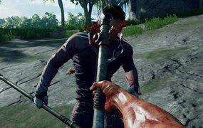 The Culling game details