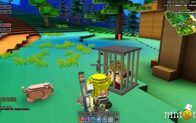 Cube World game details