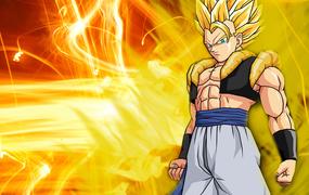 Dragon Ball Z Online cover image