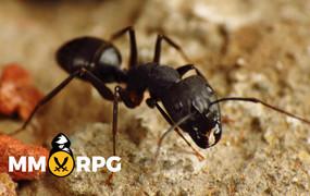 Ant Wars - MMO game details