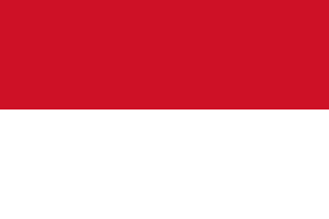 Indonezyjczycy zasilą wkrótce szeregi naszego Ragnaroka Online 2