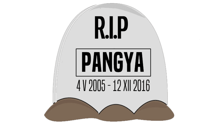 Żegnaj Pangya, (nie) będziemy tęsknić