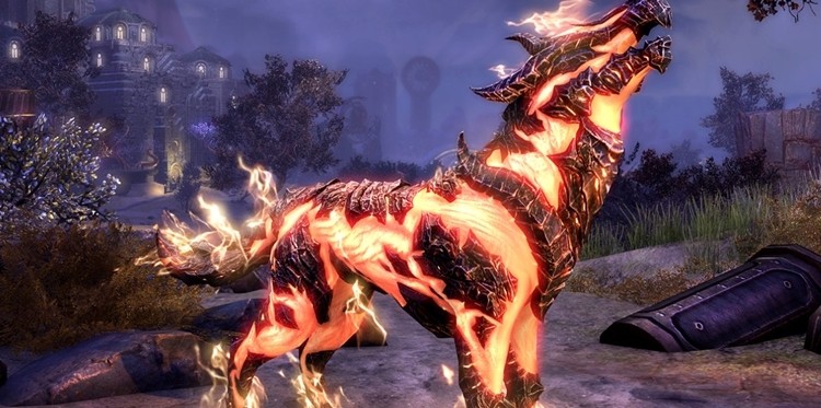 Darmowy (ognisty) pet oraz skrzynki w Elder Scrolls Online