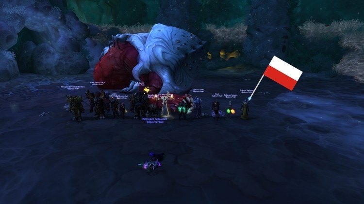 Wielki sukces Polaków w World of Warcraft. Możemy być dumni...