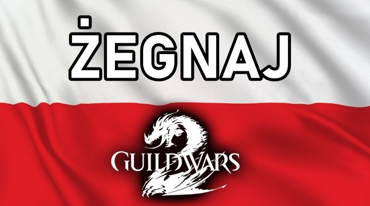Najlepsze polskie gildie opuszczają Guild Wars 2
