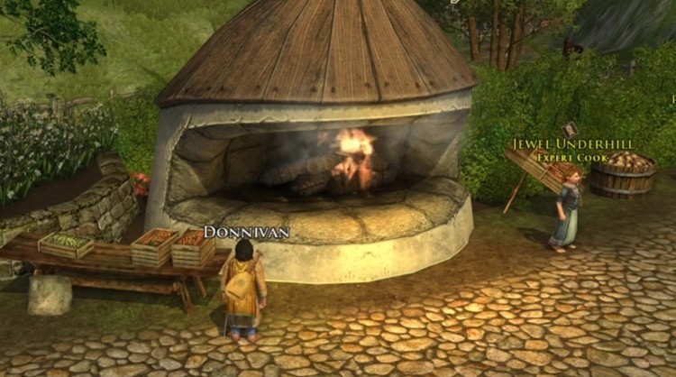 Niesamowity gracz Lord of the Rings Online. Zdobył max level w nietypowy sposób